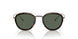 319871 - Havana - Green