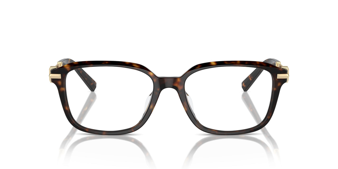 8015 - Tortoise