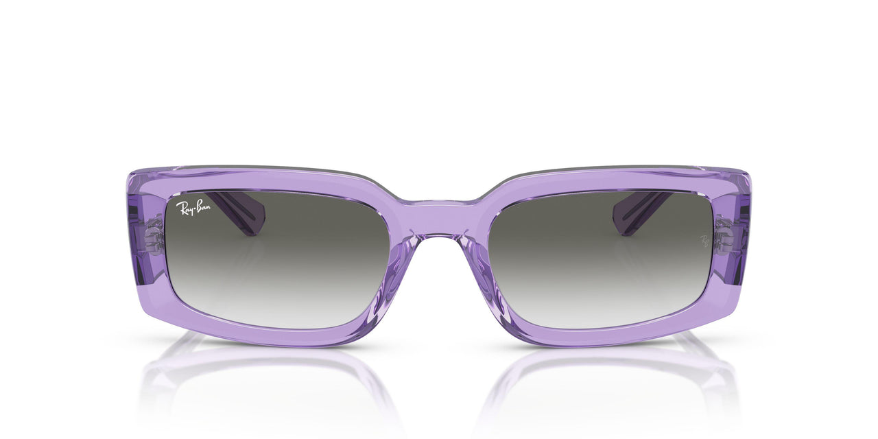 66858E - Violet - Light Grey