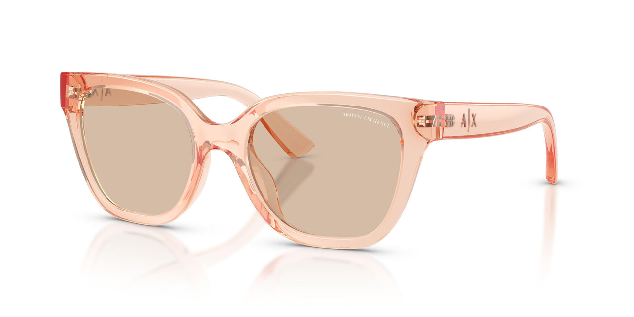 839593 - Pink - Light Brown