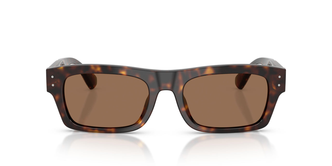502/73 - Tortoise - Dark Brown