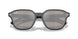 601/6V - Black - Light Grey Mirror Silver