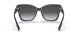 3977T3 - Black - Polar Grey Gradient
