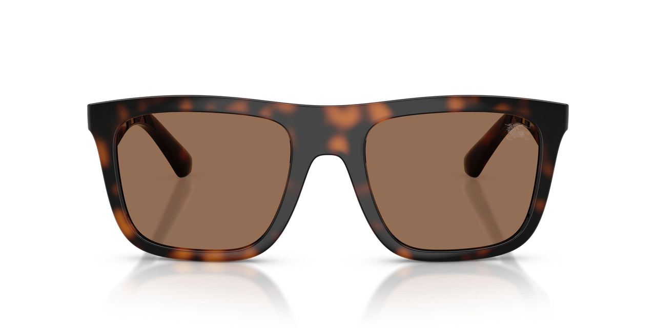 300273 - Brown - Dark Brown