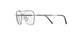 6560 - Plain Ruthenium