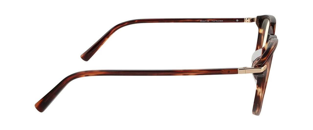 02309 - Tortoise - Clear