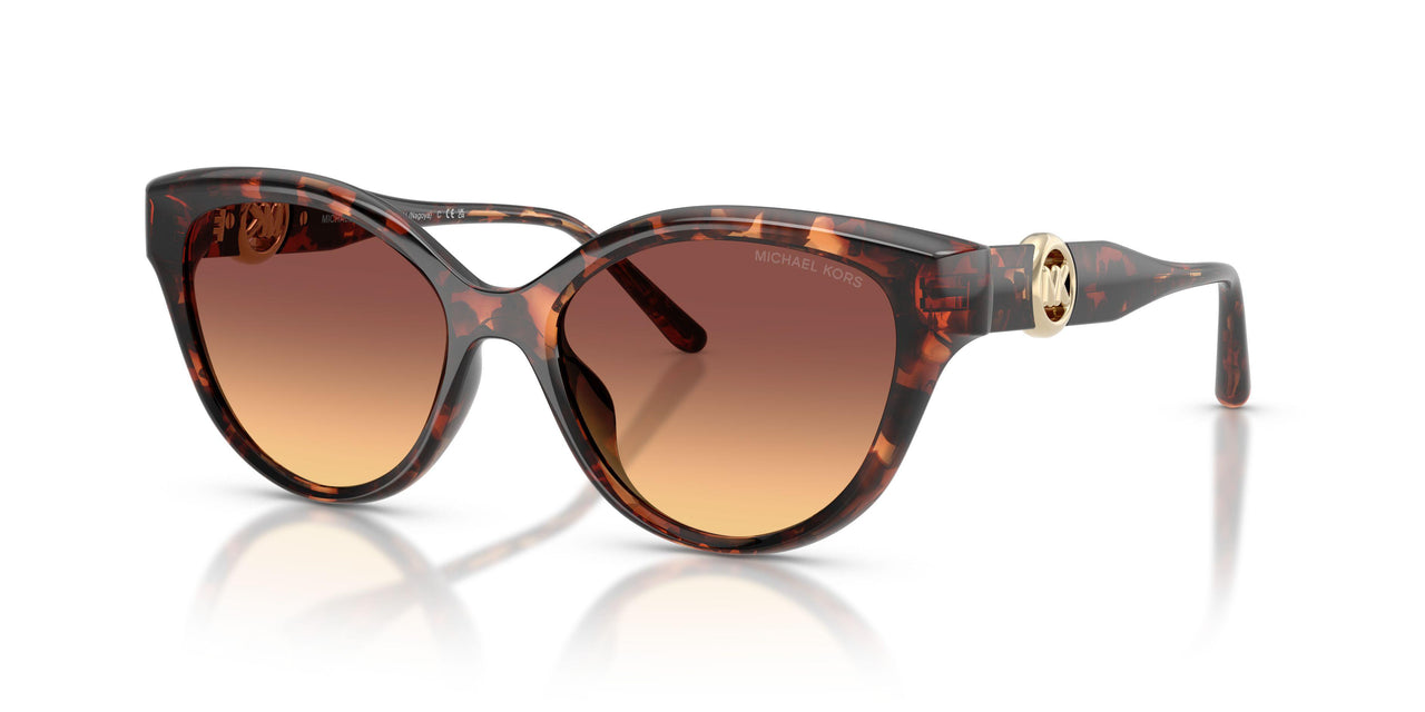 403178 - Tortoise - Brown Gradient