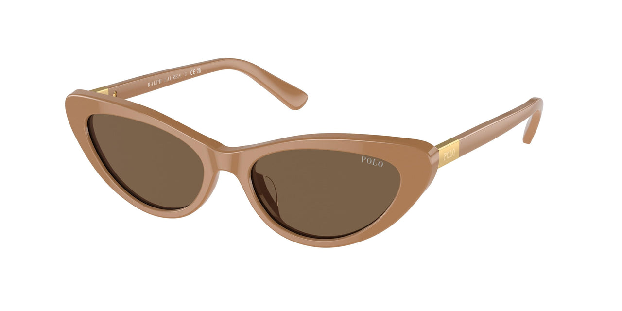 Polo 4199U Sunglasses