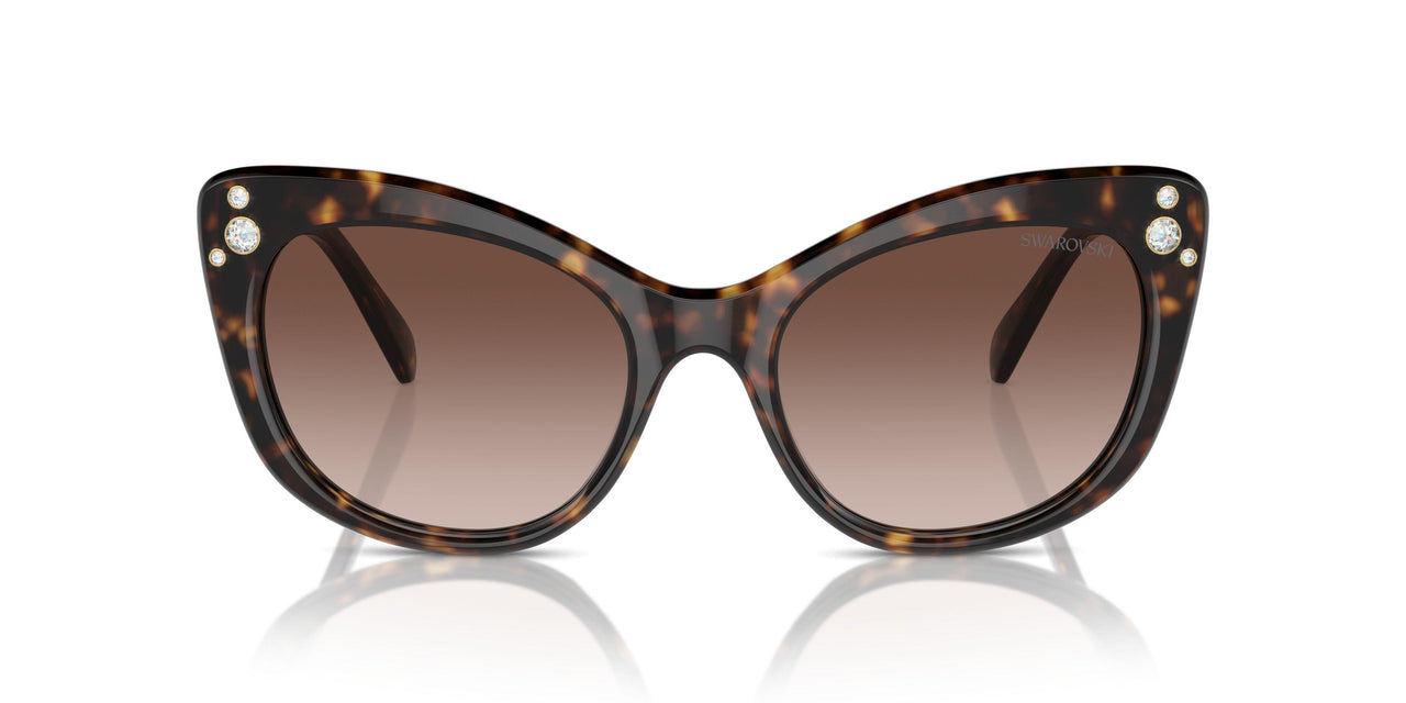 100213 - Tortoise - Gradient Brown