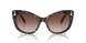 100213 - Tortoise - Gradient Brown
