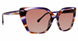 Trina Turk TTKAMARI Sunglasses