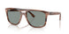 1423O9 - Tortoise - Polarized Light Blue