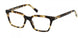 ABERCROMBIE & FITCH 50038 Eyeglasses