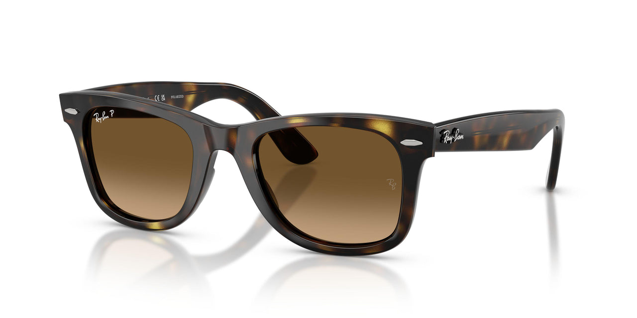 710/M2 - Tortoise - Polarized Brown Gradient