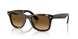 710/M2 - Tortoise - Polarized Brown Gradient