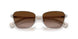 949213 - Silver - Gradient Brown