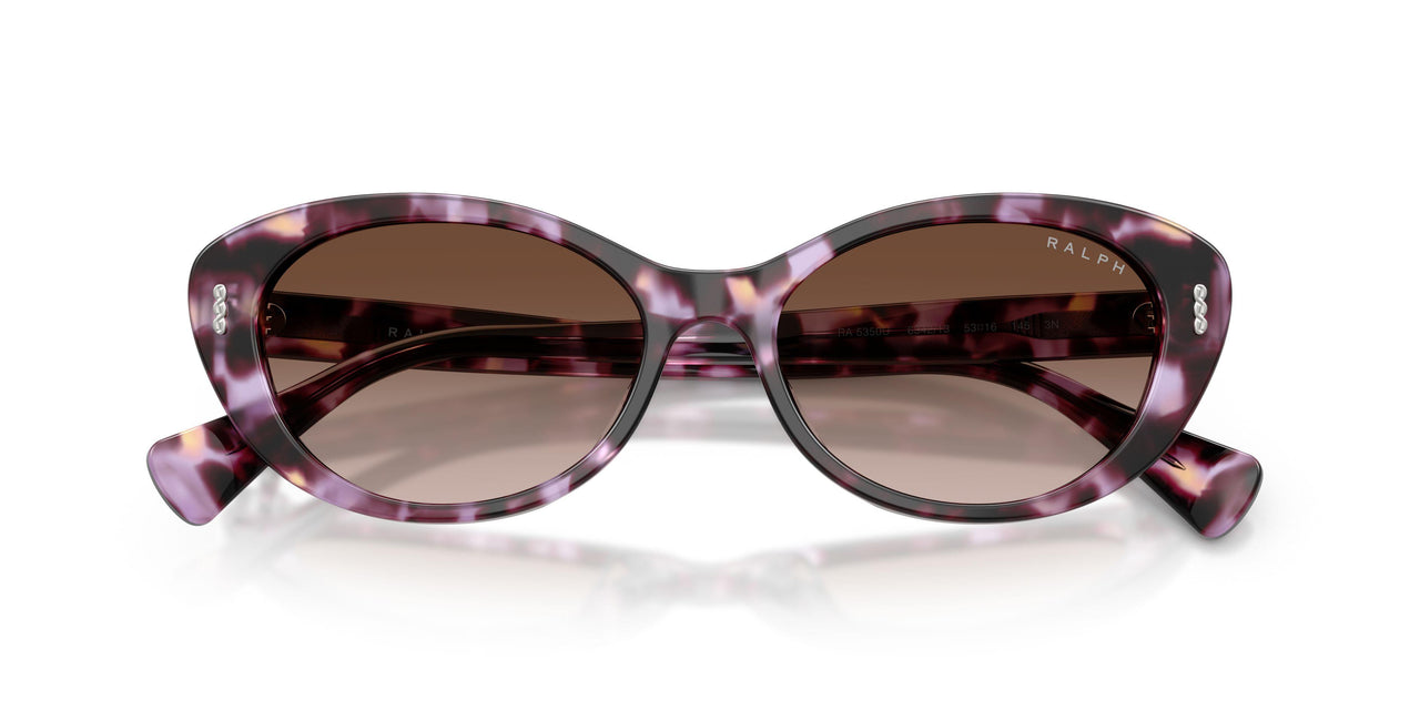 634213 - Violet - Gradient Brown