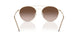 300213 - Gold - Gradient Brown