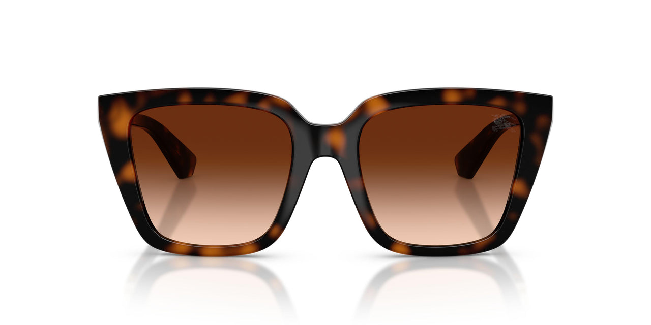 300274 - Brown - Brown Gradient
