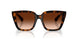 300274 - Brown - Brown Gradient
