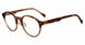 Lucky Brand VLBD831 Eyeglasses