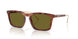 5774/2 - Tortoise - Green Solid