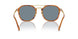 960/56 - Tortoise - Light Blue