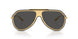 02/87 - Gold - Dark Grey