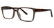 GRTRTS - Grey/Tortoise