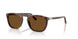 24/57 - Tortoise - Polar Brown