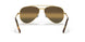 9196G5 - Gold - Polar Clear Gradient Dark Brow