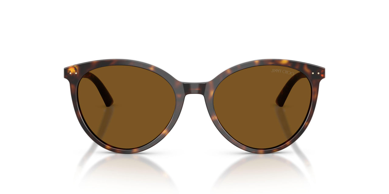 500283 - Tortoise - Dark Brown Polar