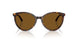 500283 - Tortoise - Dark Brown Polar