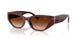 551674 - Red - Gradient Brown
