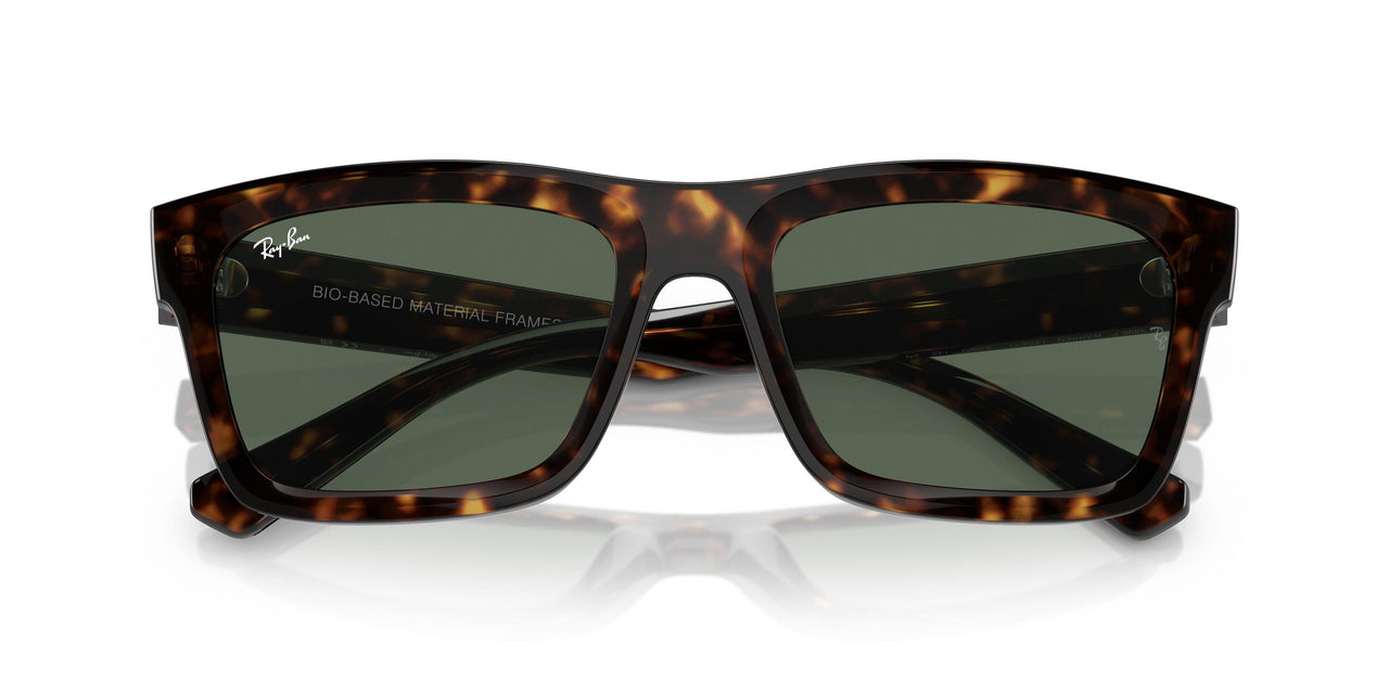135971 - Tortoise - Dark Blue