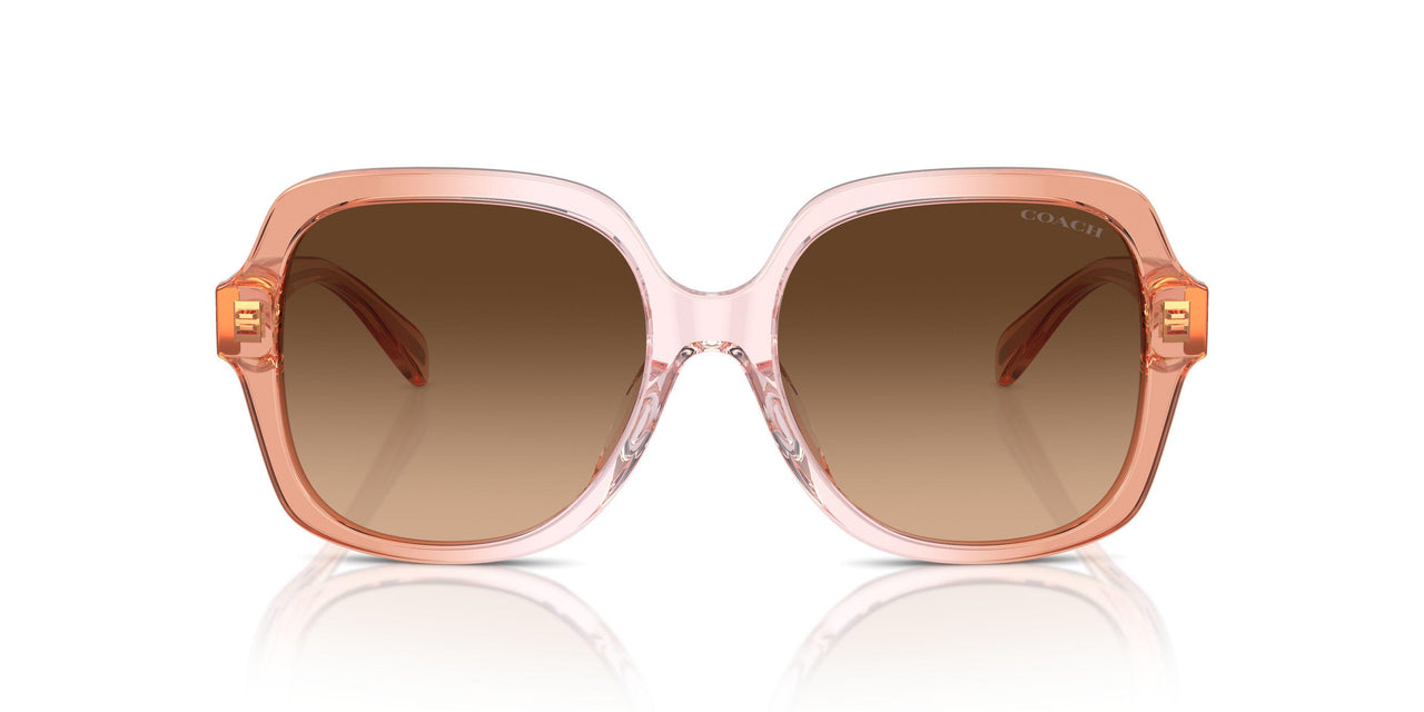 581274 - Brown - Brown Gradient