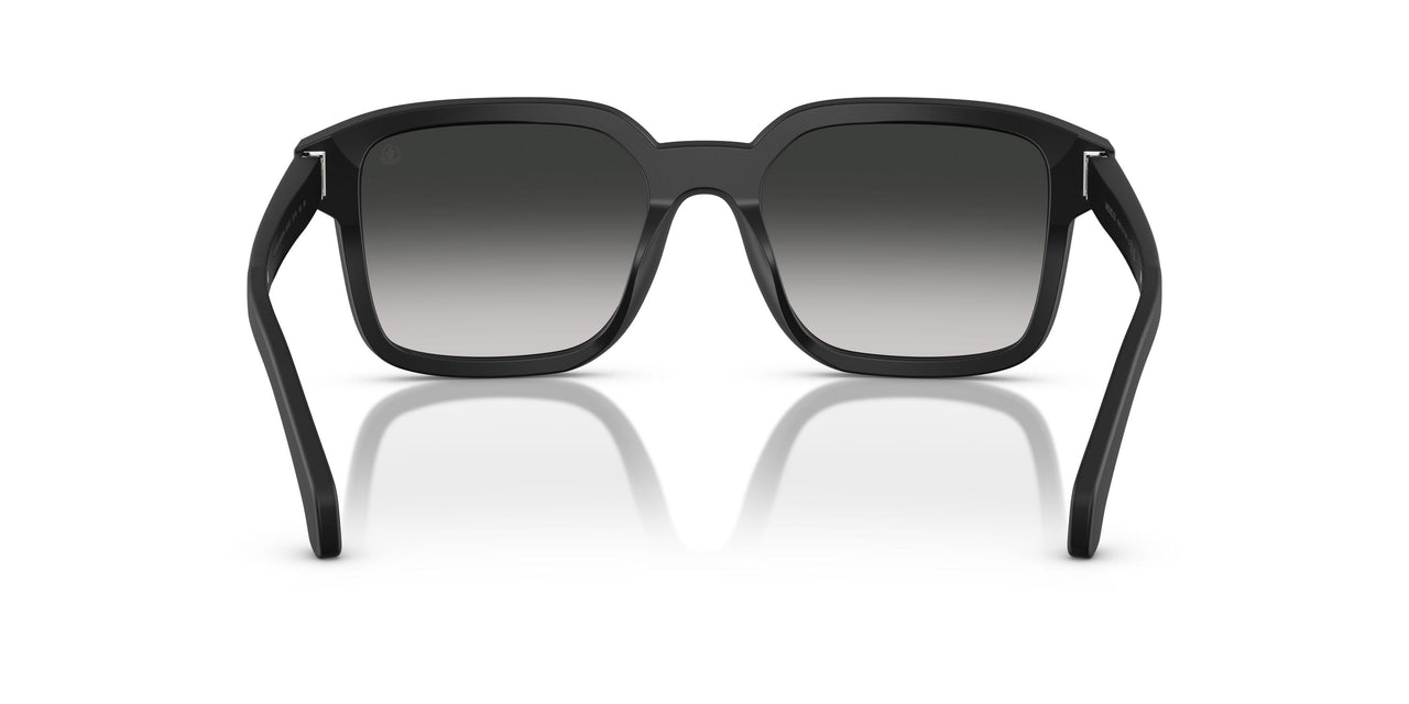 30103C - Black - Light Grey Gradient Black