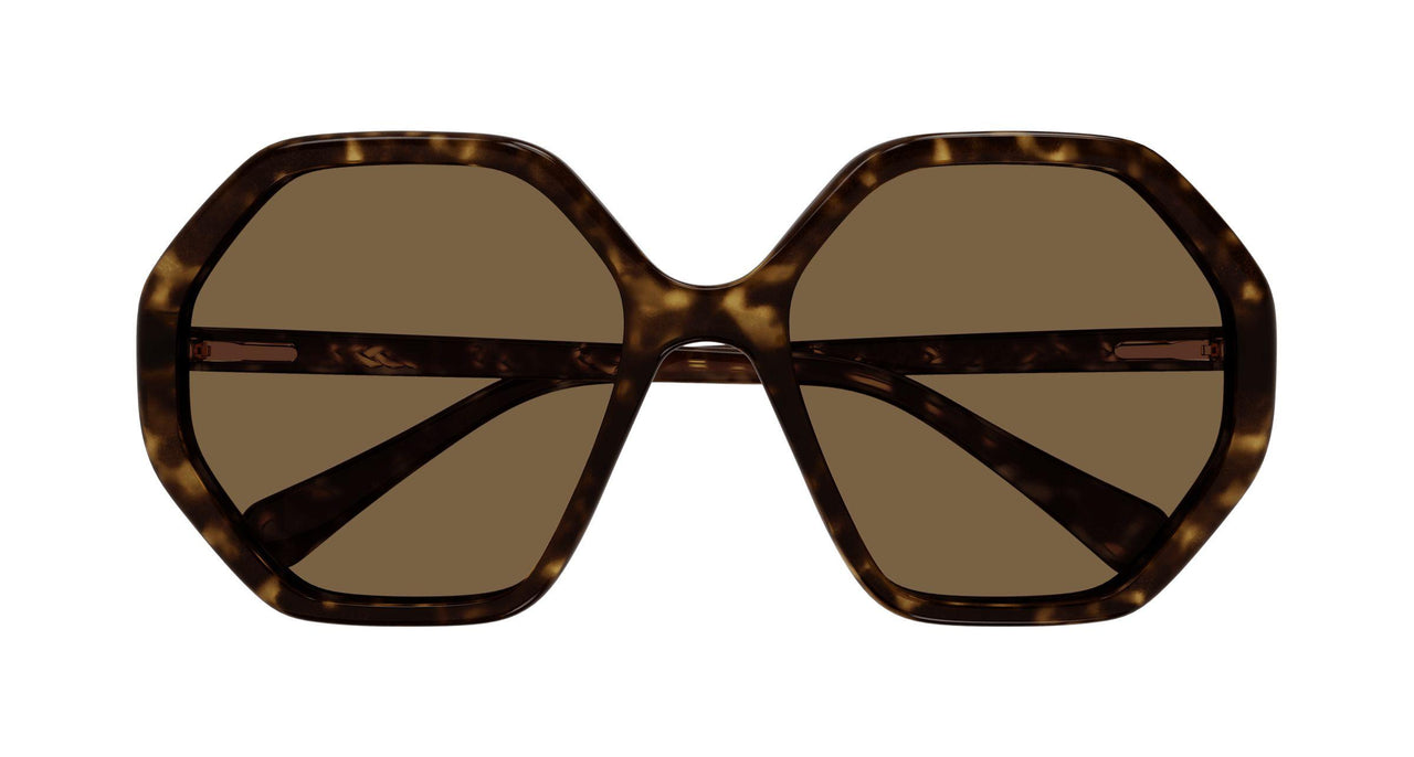 008 - Havana - Brown