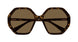 008 - Havana - Brown