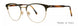 Valdo Giovanni Eyeglasses