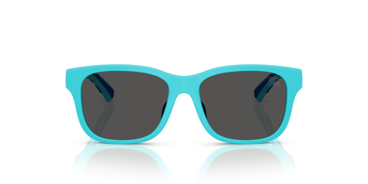 423587 - Blue - Dark Grey