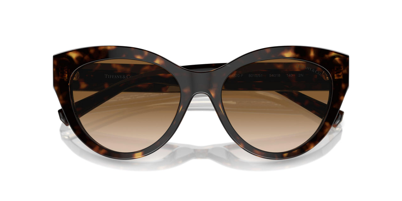 801551 - Tortoise - Clear Gradient Brown
