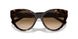 801551 - Tortoise - Clear Gradient Brown