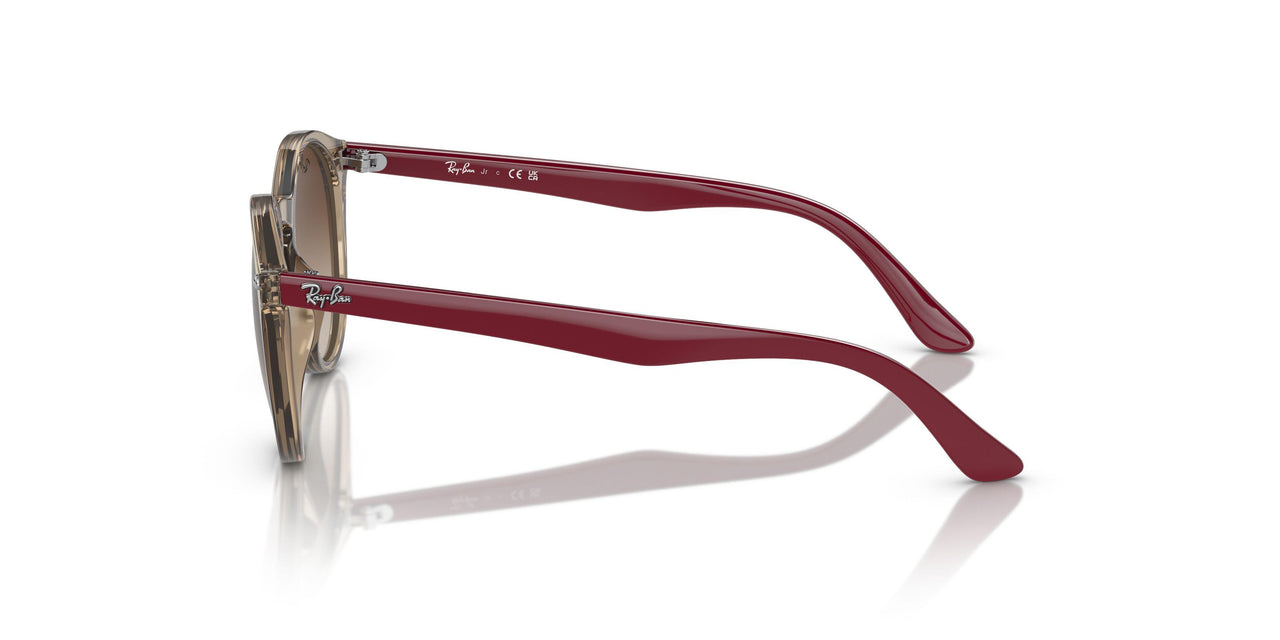 712313 - Brown - Gradient Brown