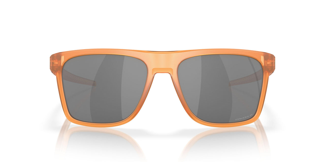 910019 - Brown - Prizm Black Polar