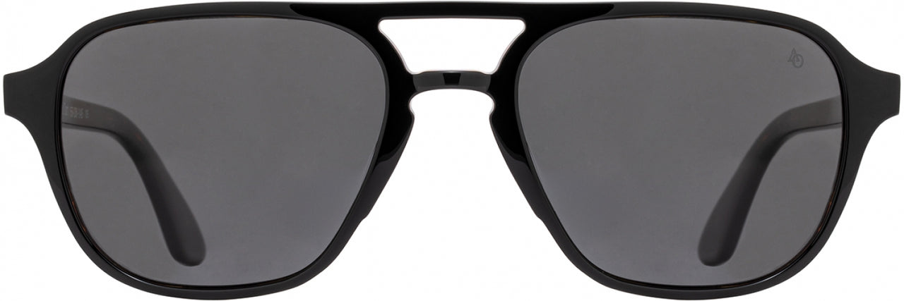 2 - Black Tortoise - True-Color Gray
