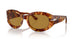 106/53 - Tortoise - Brown