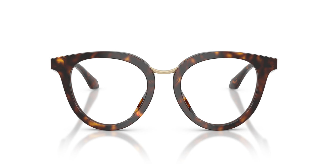 6124 - Tortoise