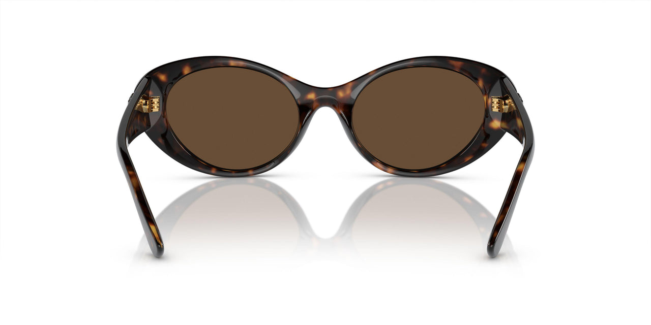 108/73 - Tortoise - Dark Brown
