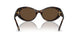 108/73 - Tortoise - Dark Brown
